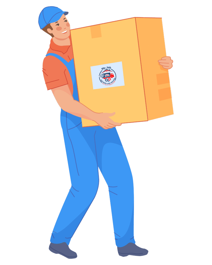 my job website vectors (1)